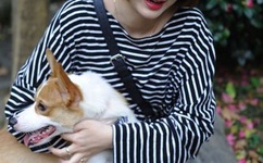 小悦悦事件视频